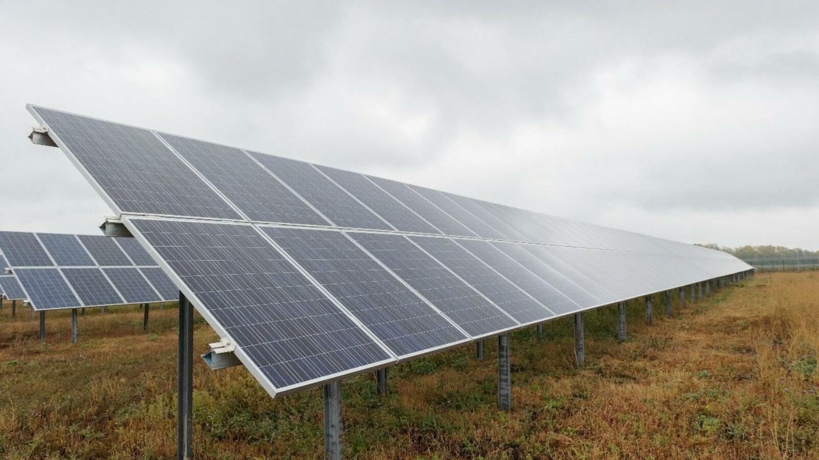 из открытых источников