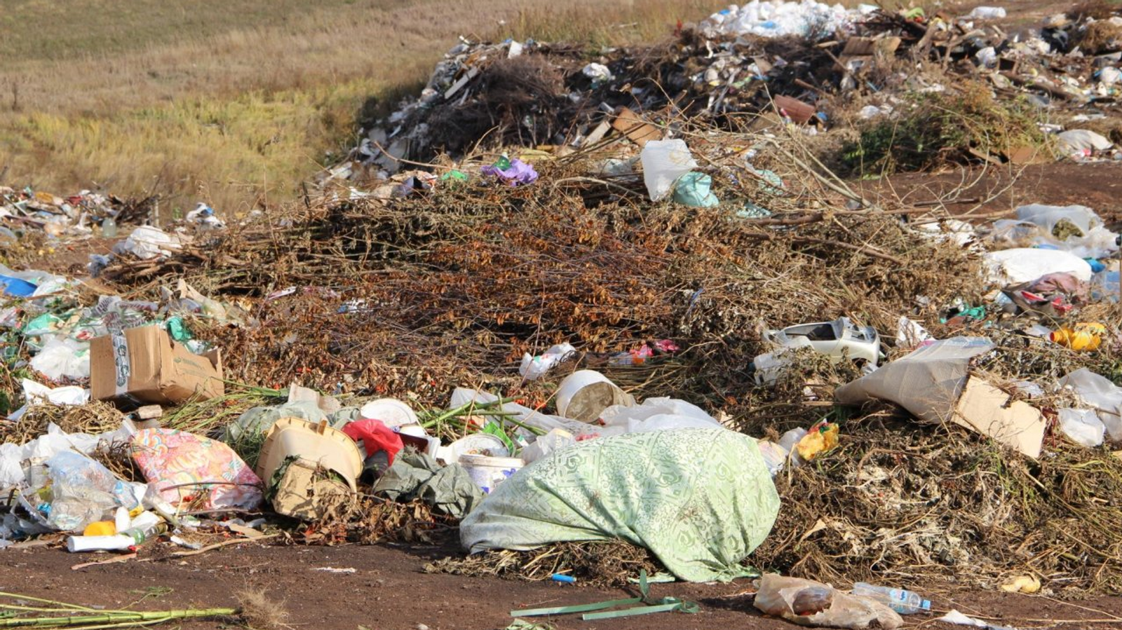 ИА «Башинформ»