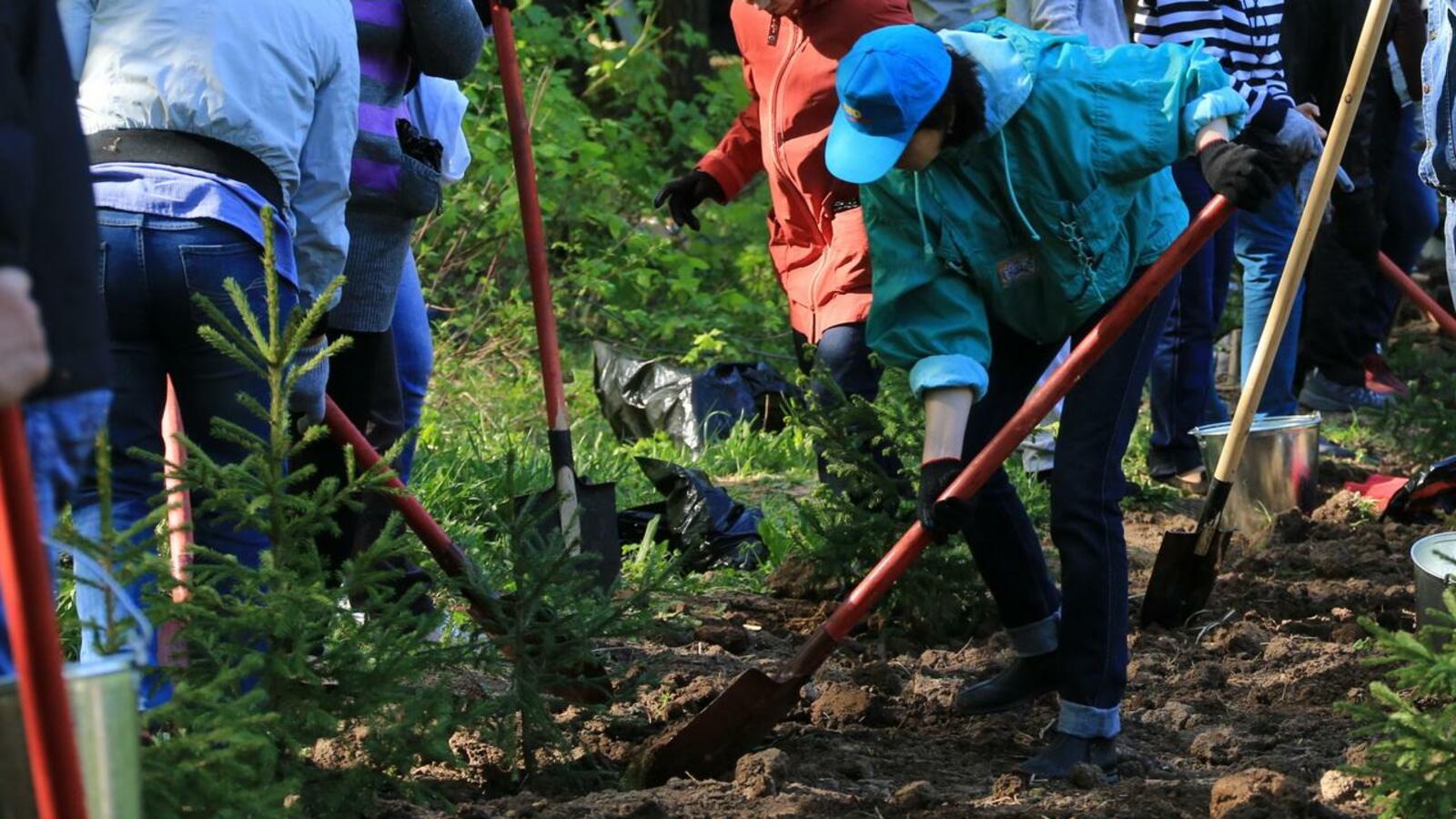 Андрей Старостин