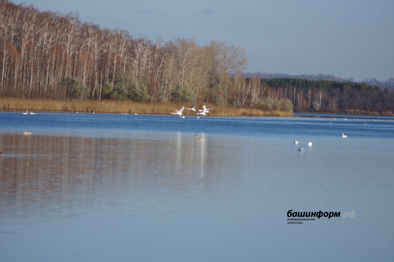 Ирина Сабирова минэкологии РБ