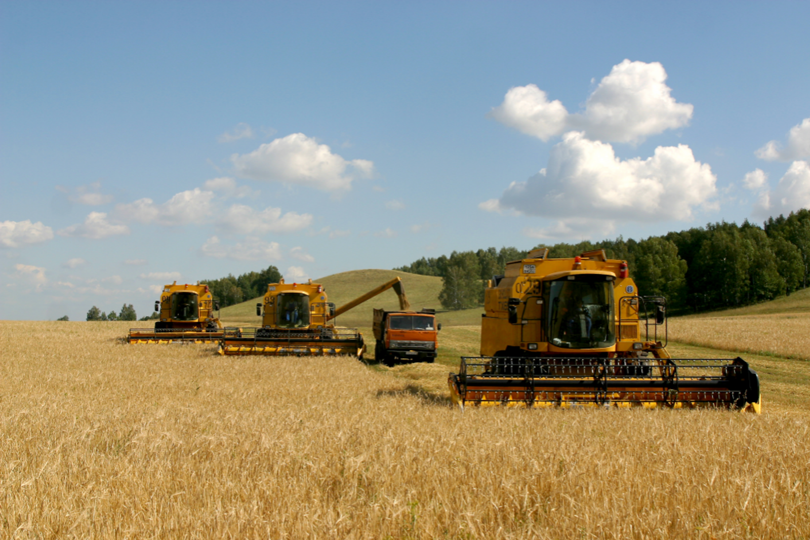 Башҡортостан Ауыл хужалығы министрлығы