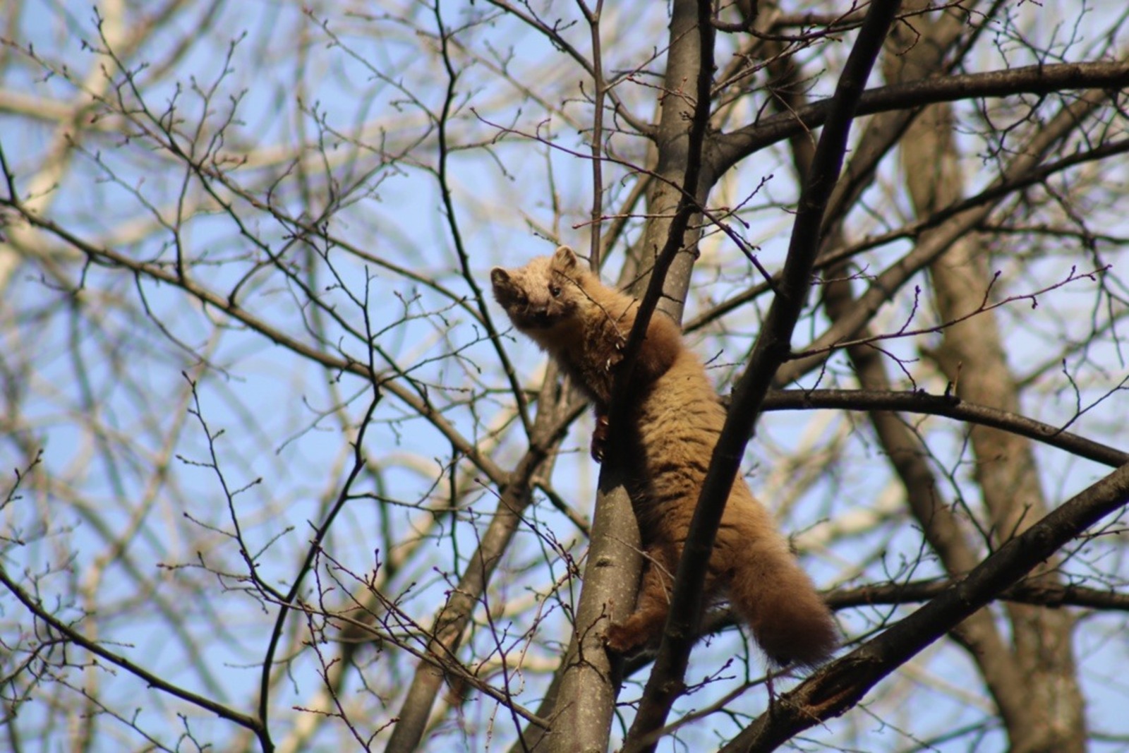 Нацпарк «Башкирия»