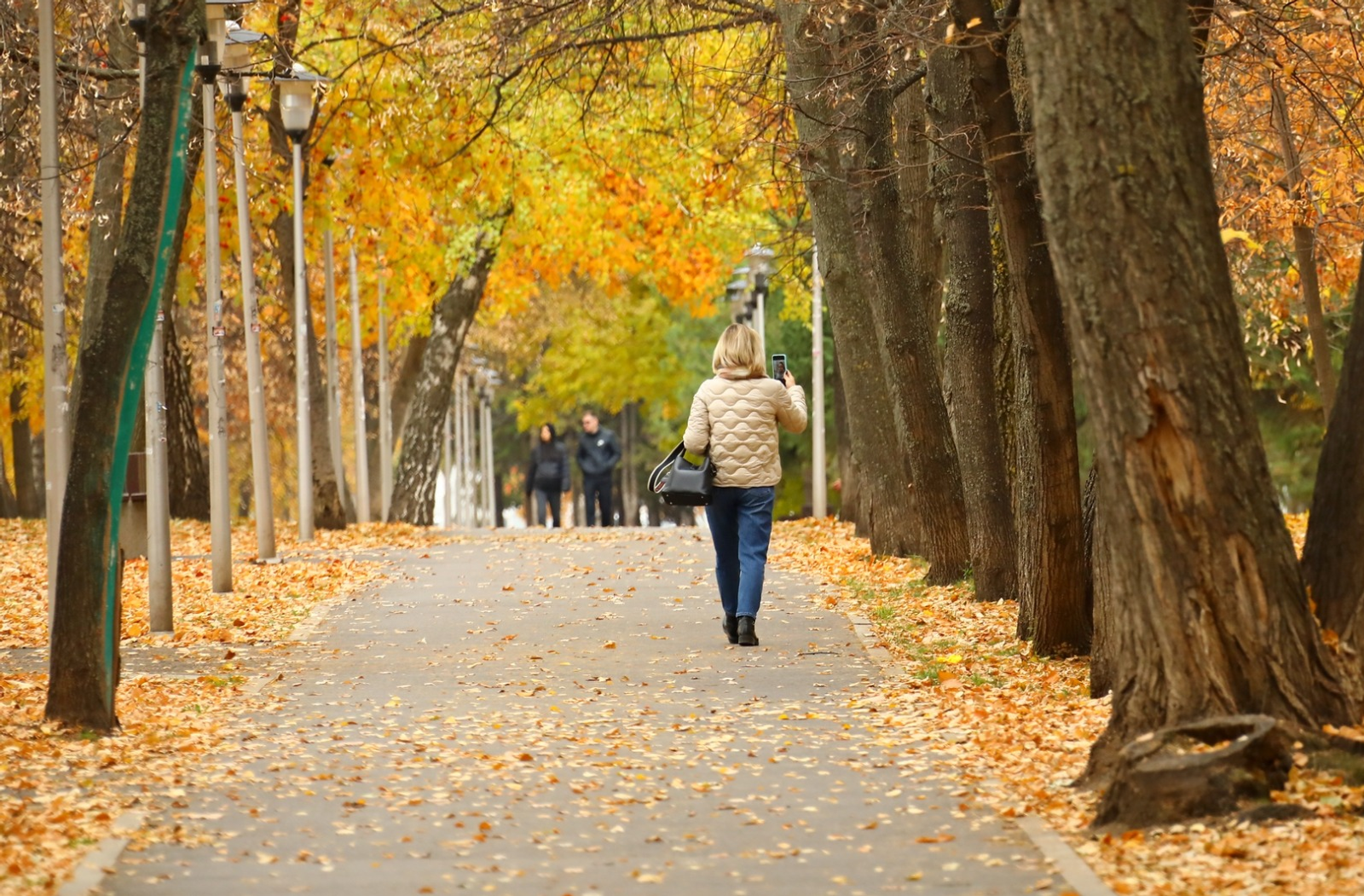 Валерий Шахов