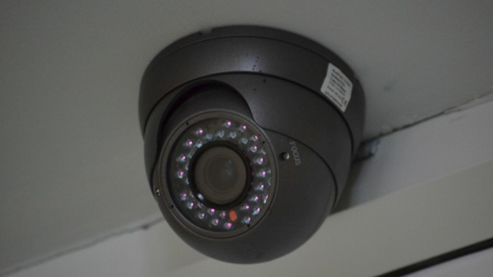 Ксения Калинина