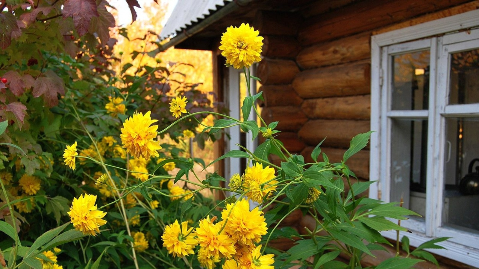 Рәсәй Дәүләт Думаһы