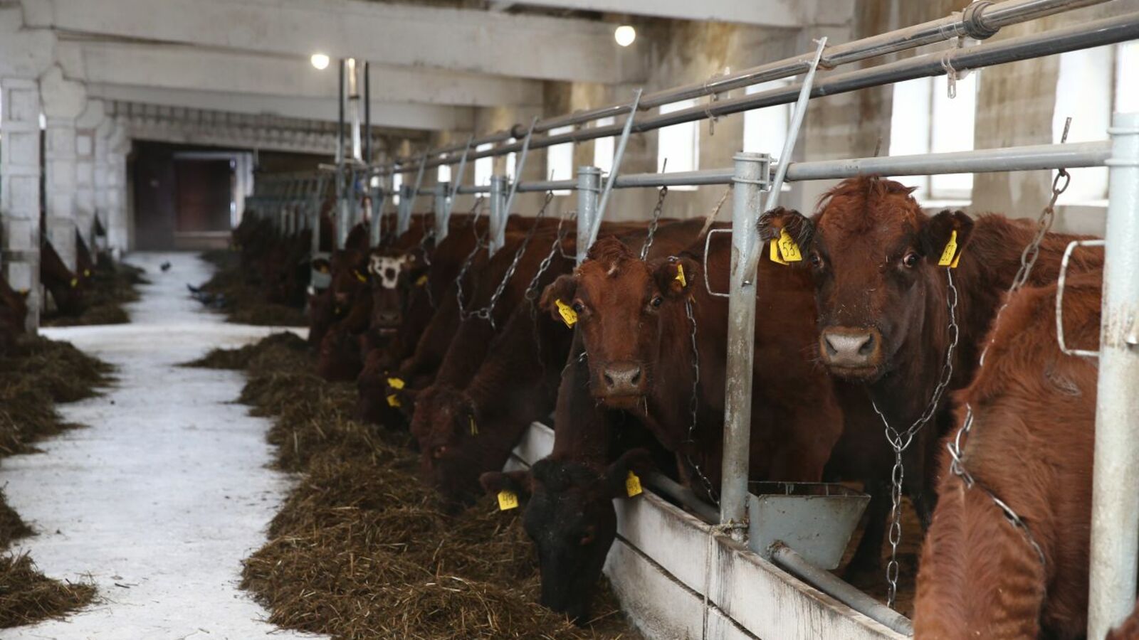 пресс-служба Главы Башкортостана