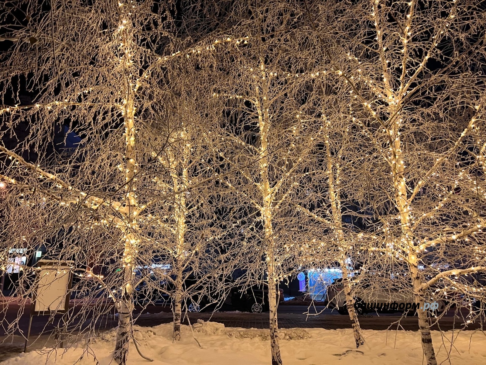 Ксения Калинина