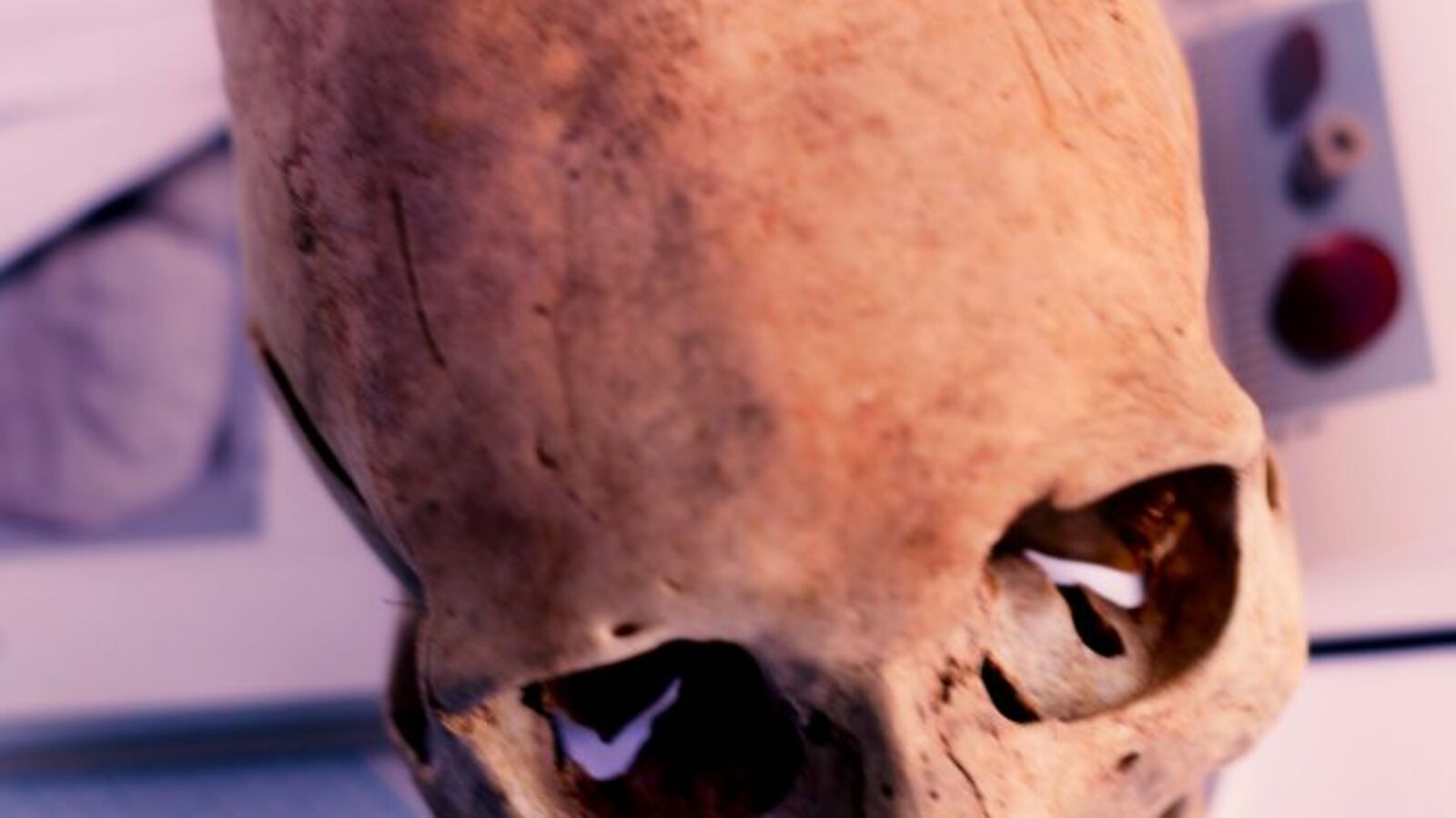 с сайта заповедника «Аркаим»