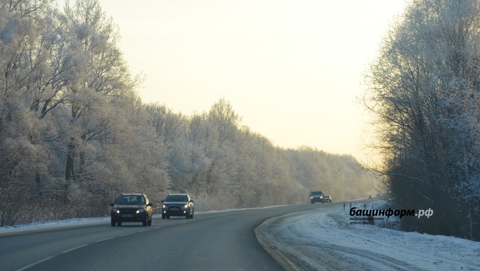 Ксения Калинина ИА Башинформ