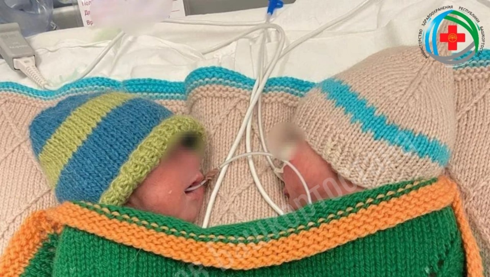 МЗ РБ телеграм