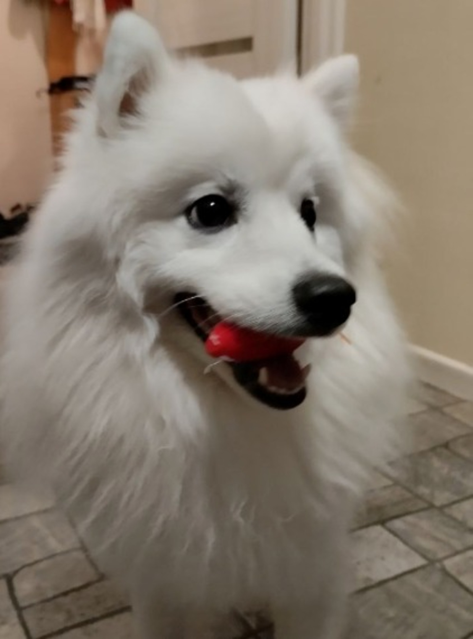 ИА «Башинформ» башинформ.рф