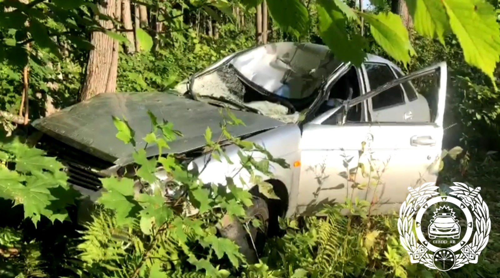 скриншот видео