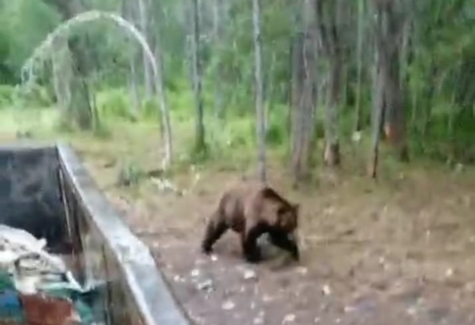 Скриншот видео