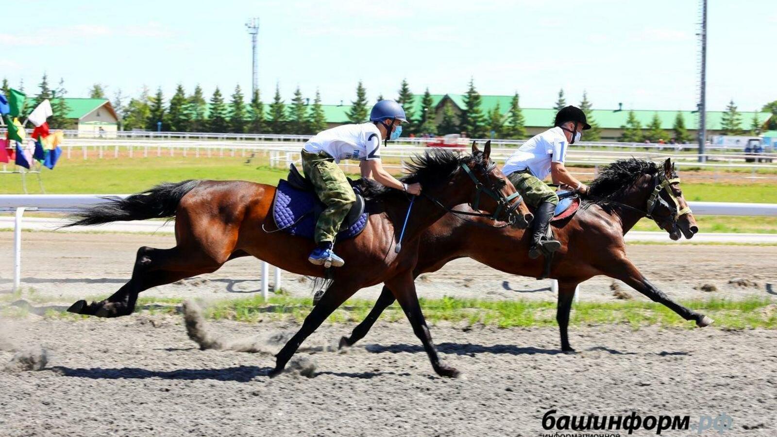 Валерий Шахов