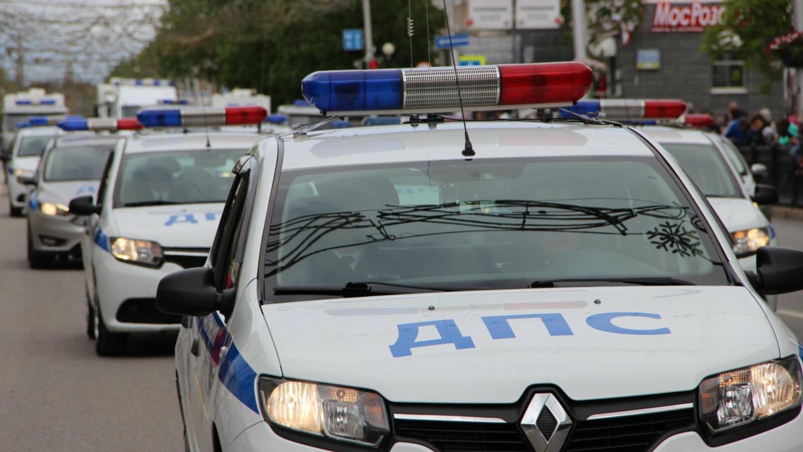 Ксения Калинина