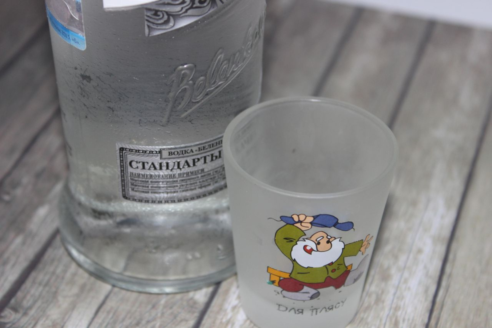 Карина Камаева