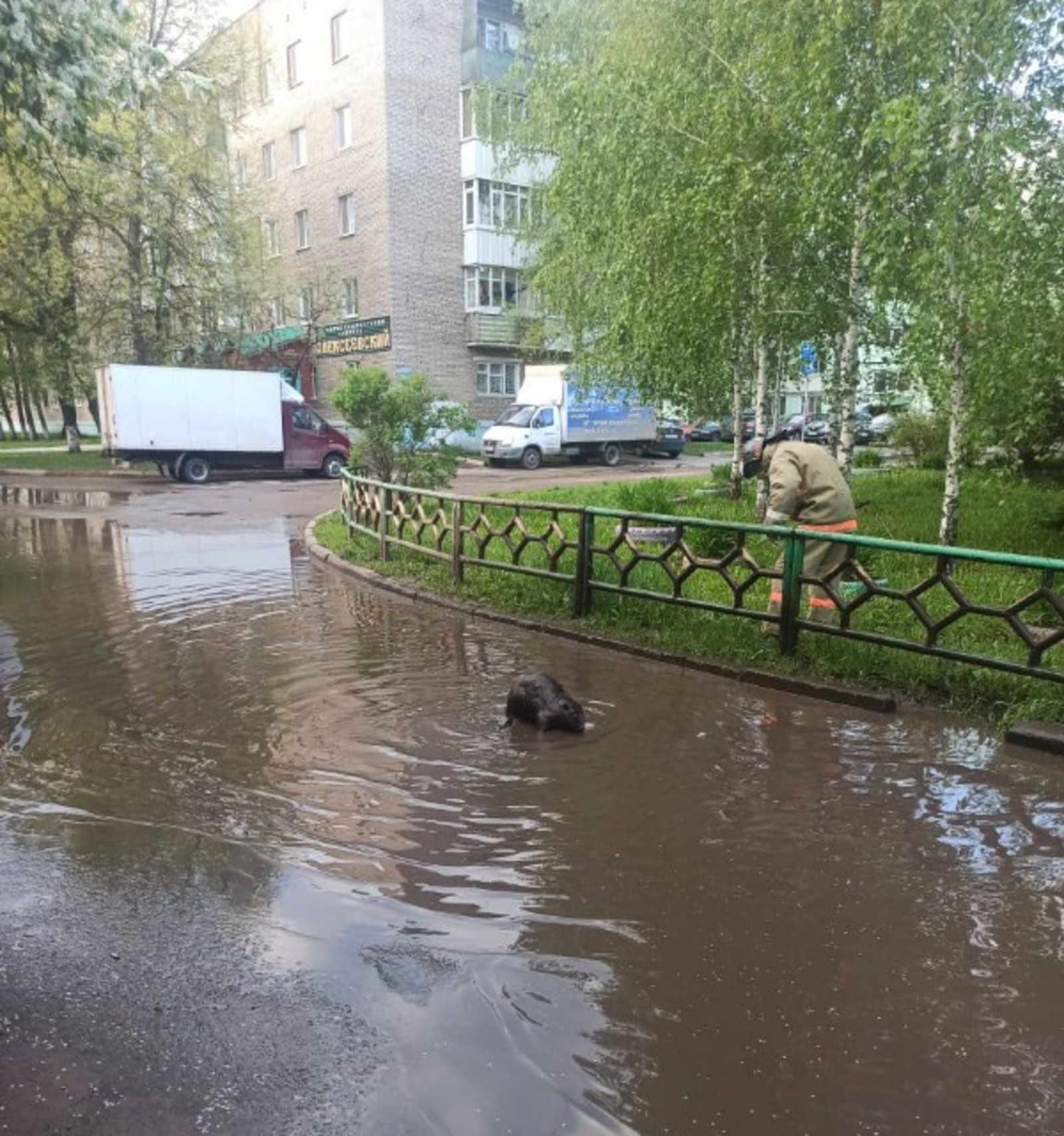 Госкомитет РБ по ЧС