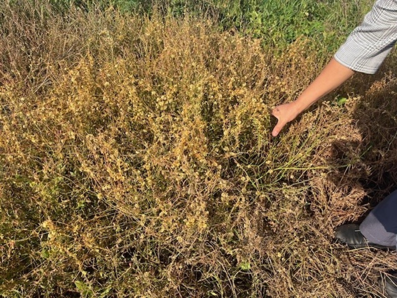 102.fsvps.gov.ru пресс-служба