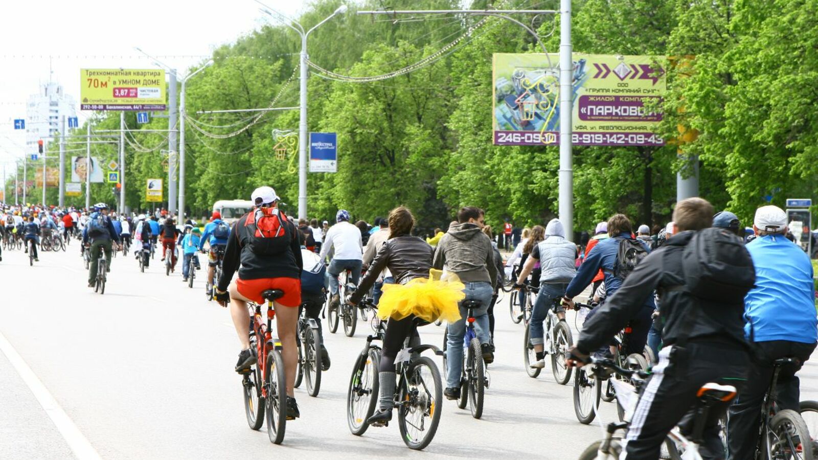 Андрей Старостин