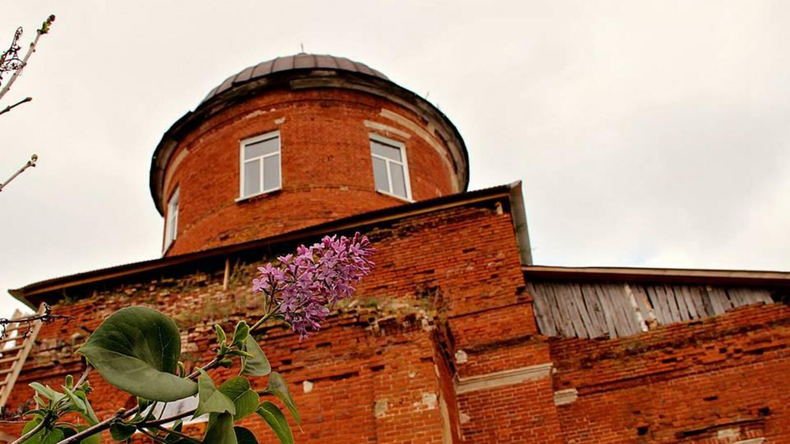 Елена Торгашова