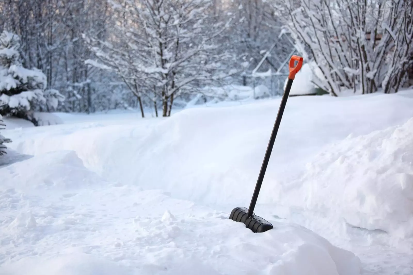 Очистка участка от снега. Чистка снега. Зимняя лопата. Лопата для уборки снега. Уборка снега в саду.