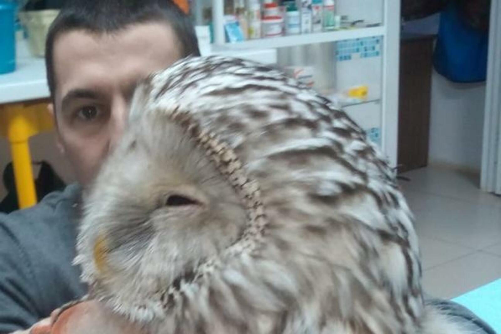 Иван Строганов