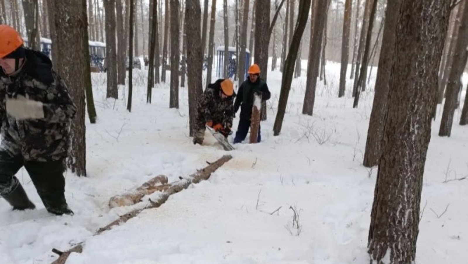 пресс-служба   УКХиБ Уфы