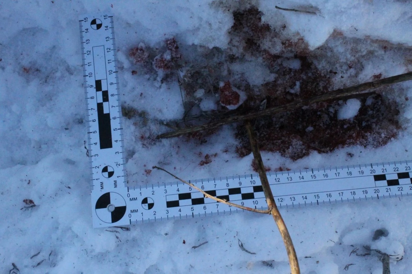 пресс-служба минэкологии РБ