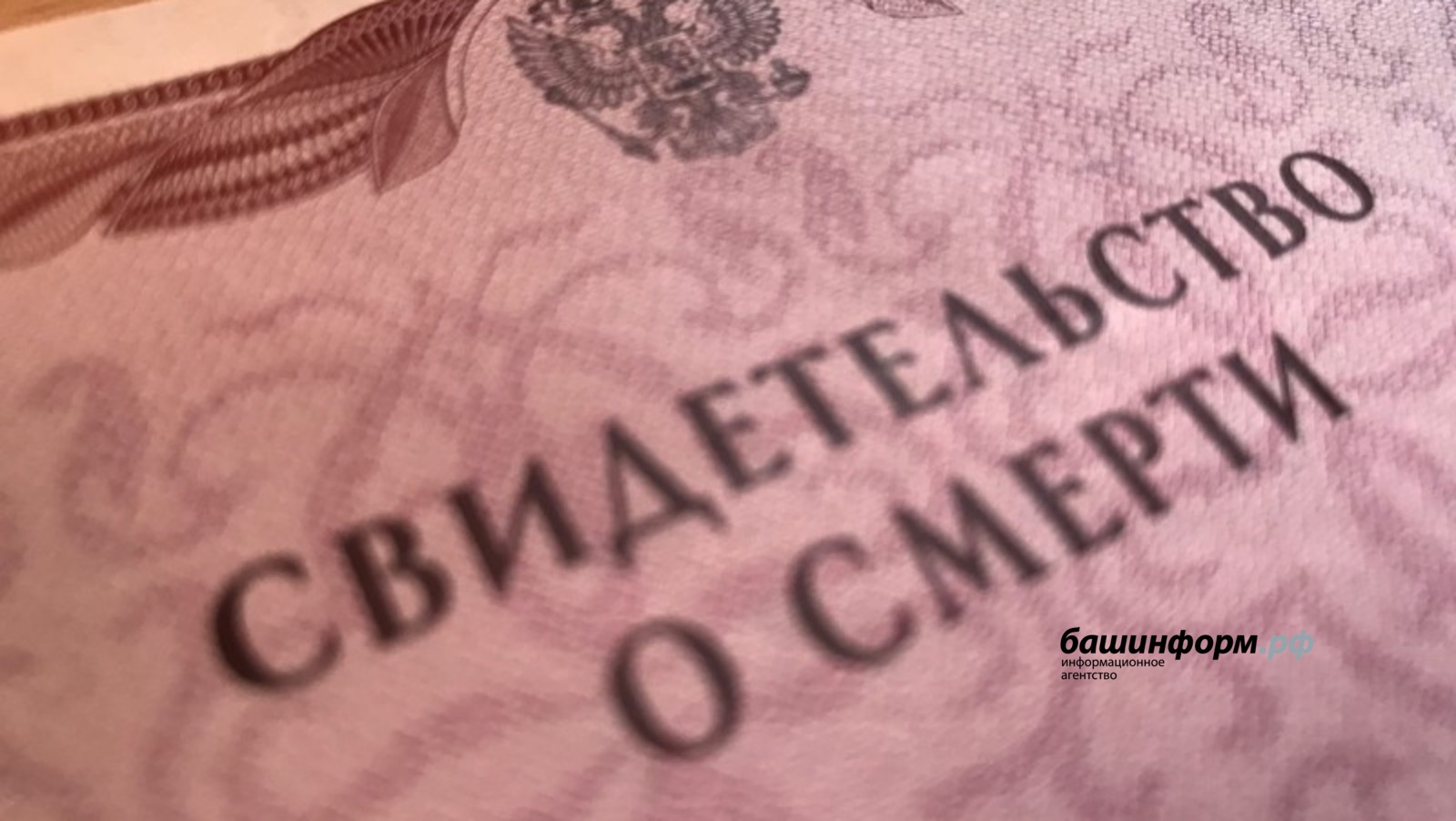 Ксения Калинина
