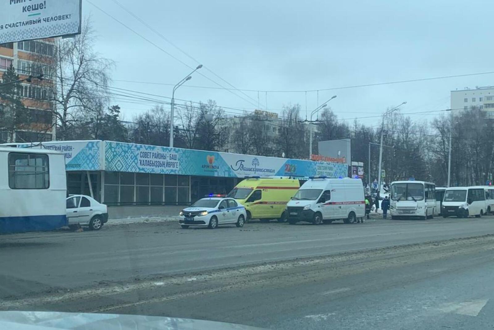 очевидец