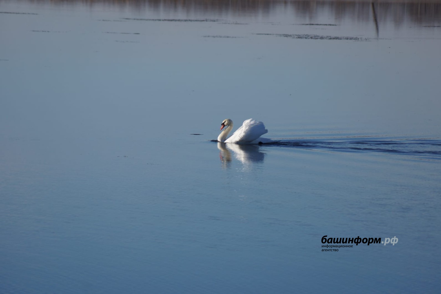 Ирина Сабирова минэкологии РБ
