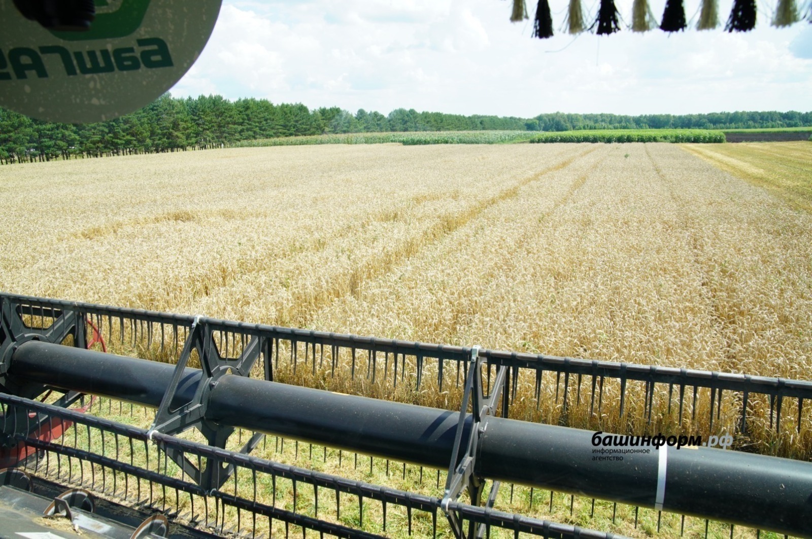 Bashkortostan exported 200 thousand tons of grain