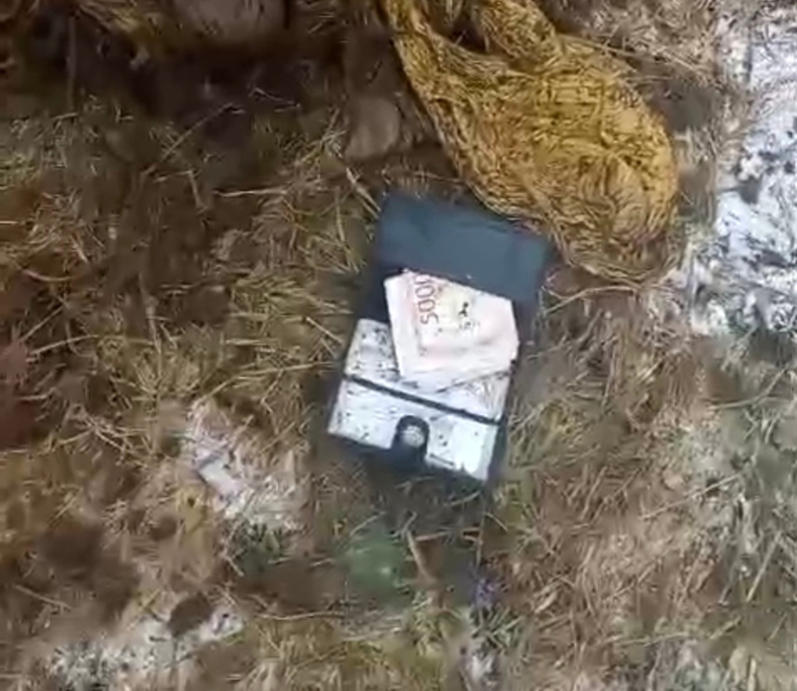 видеонан стоп-кадр