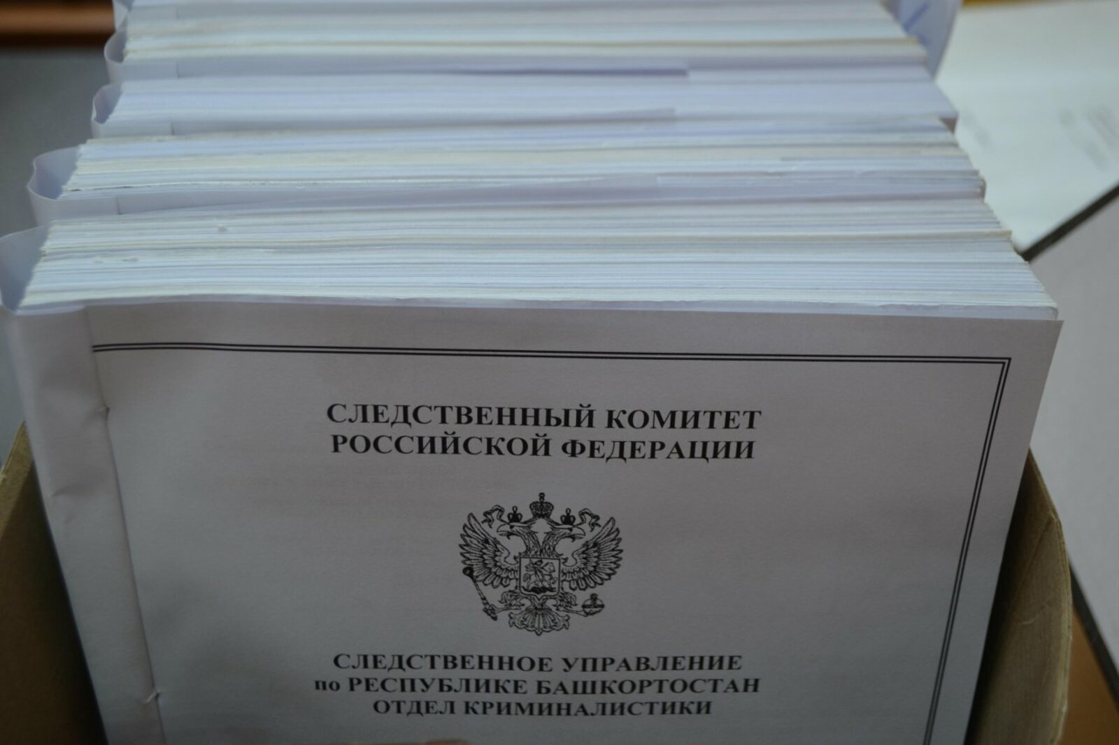 Ксения Калинина