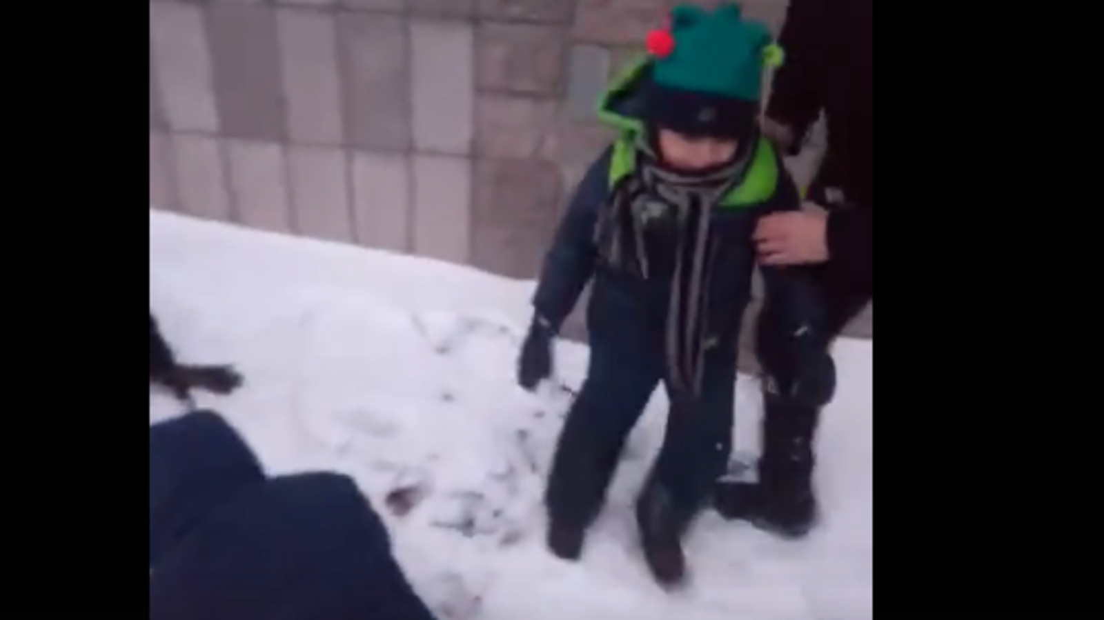 Стоп-кадр видео