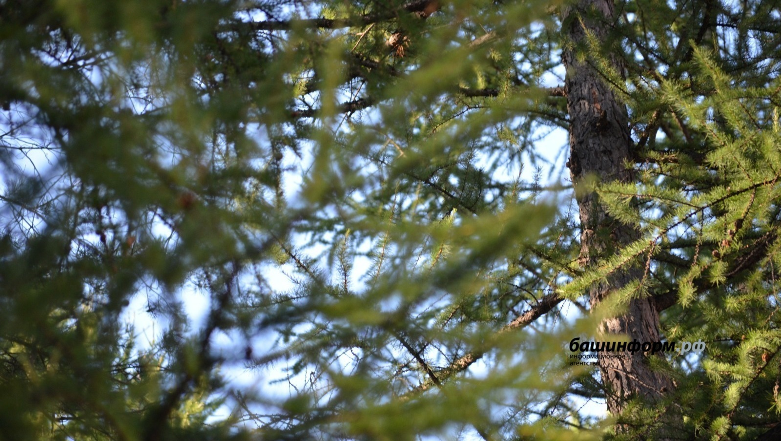 Ксения Калинина