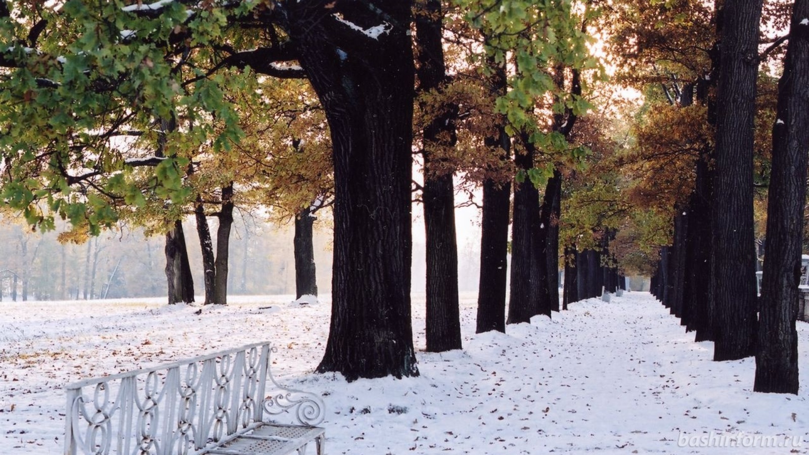 Андрей Старостин