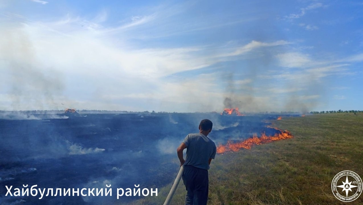 В двух районах Башкирии загорелась сухая растительность