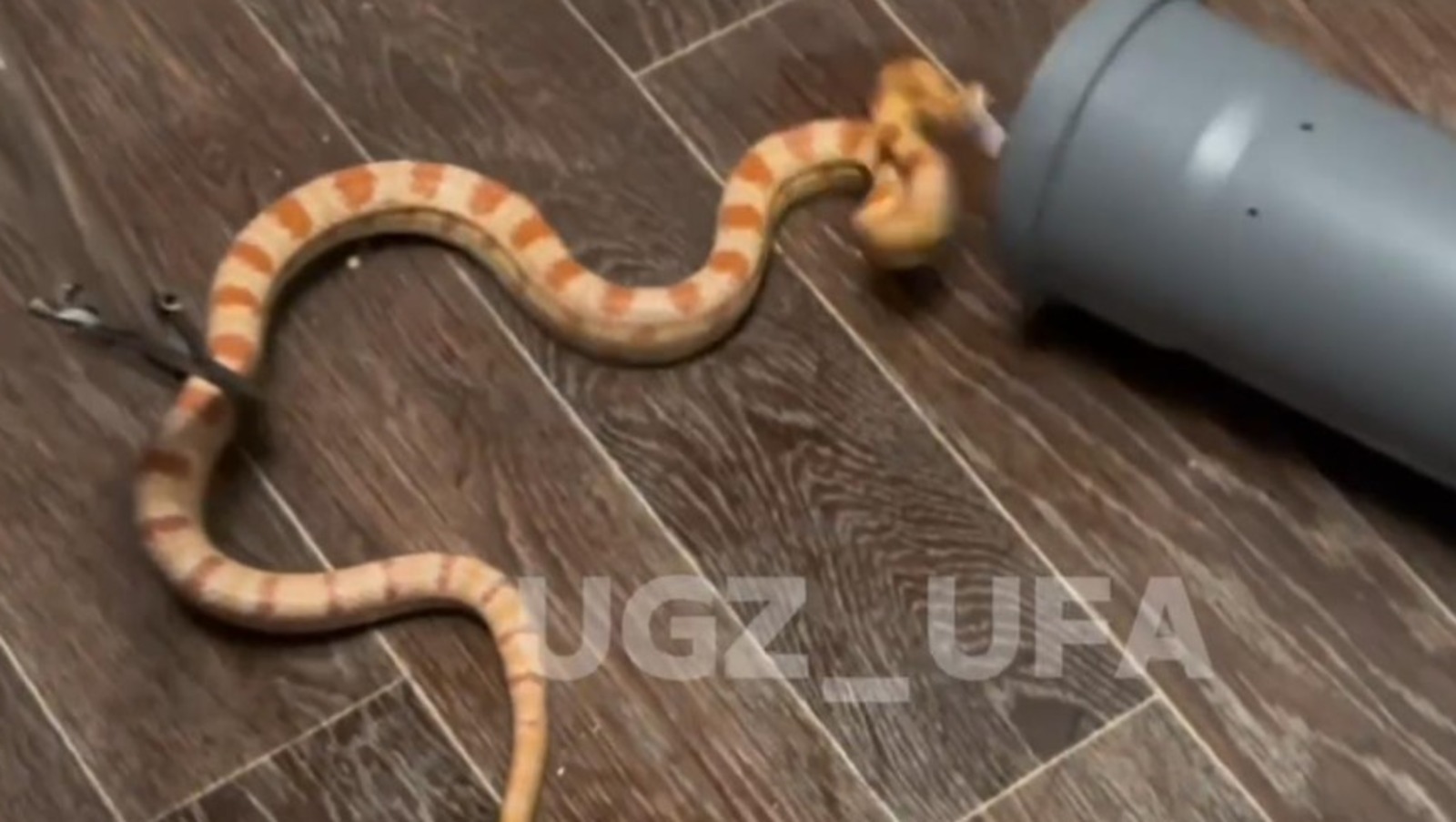 УГЗ по Уфе телеграм