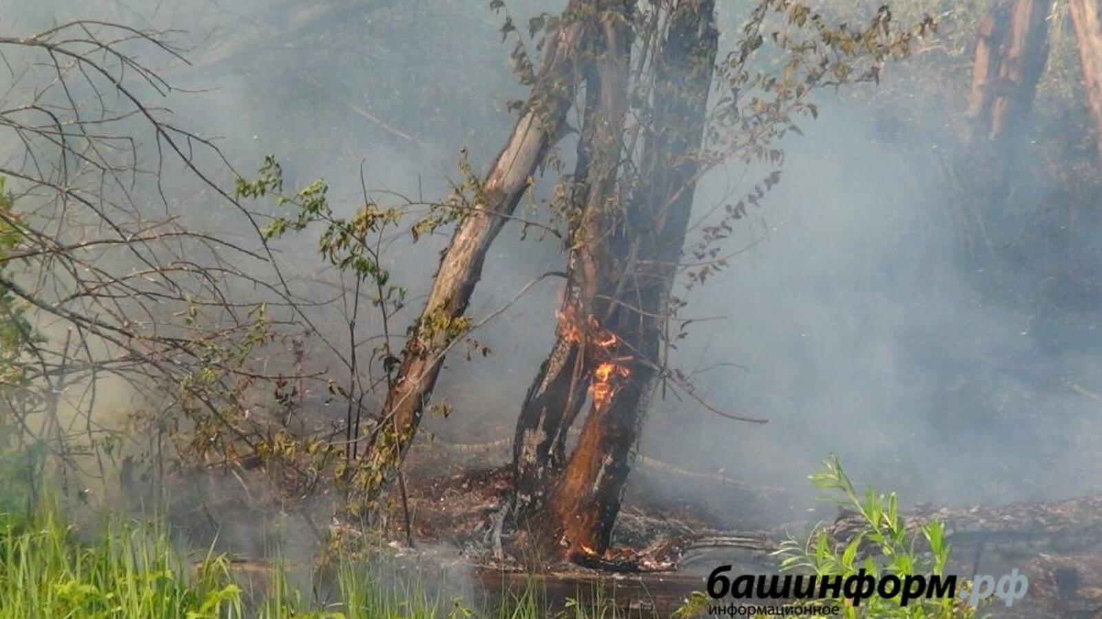 ИА «Башинформ»