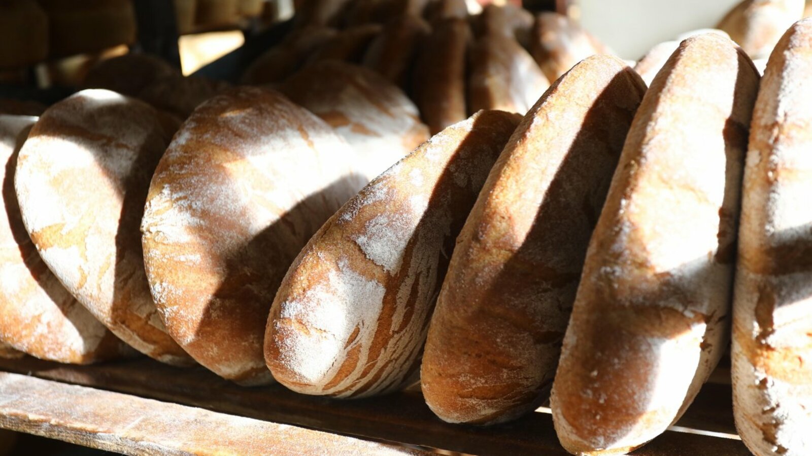 Валерий Шахов