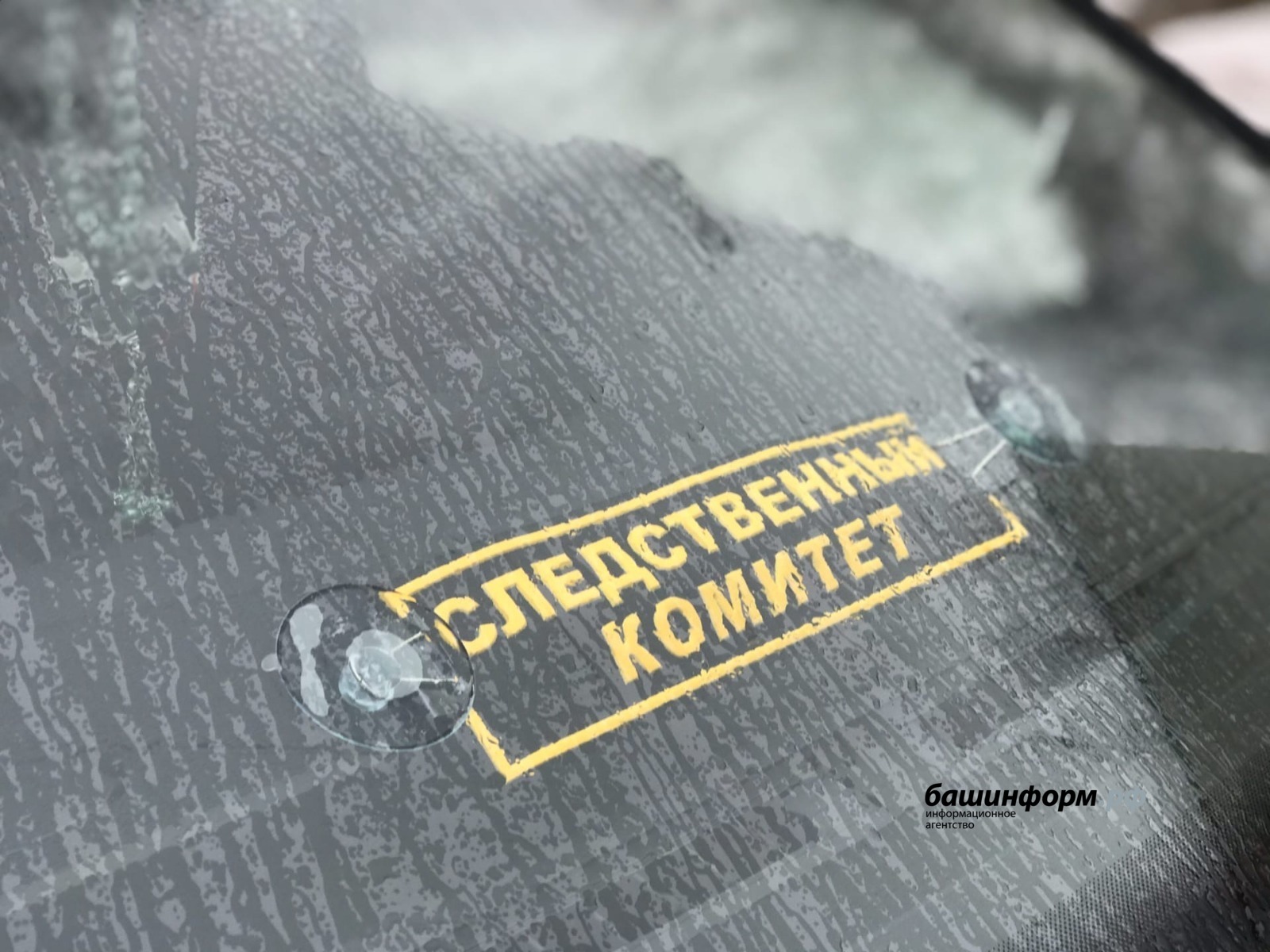 Ксения Калинина