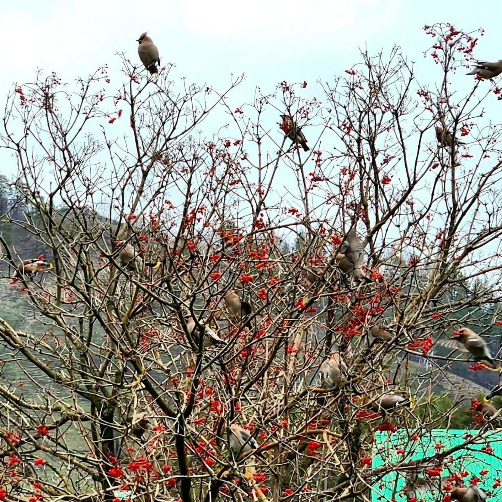 пресс-служба минэкологии РБ