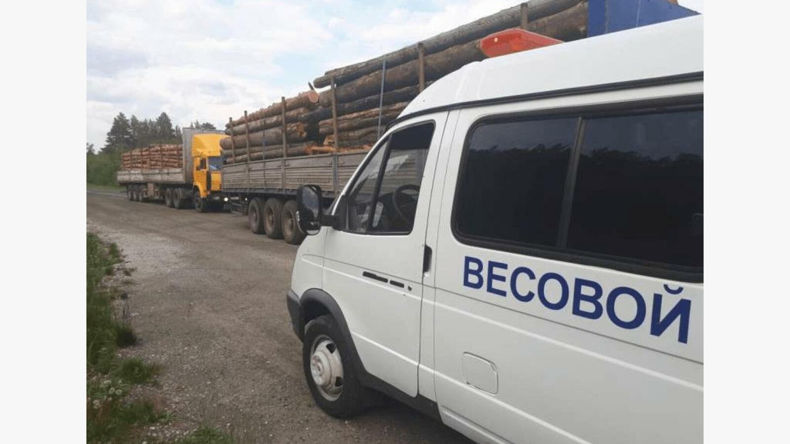 пресс-служба Минлесхоза