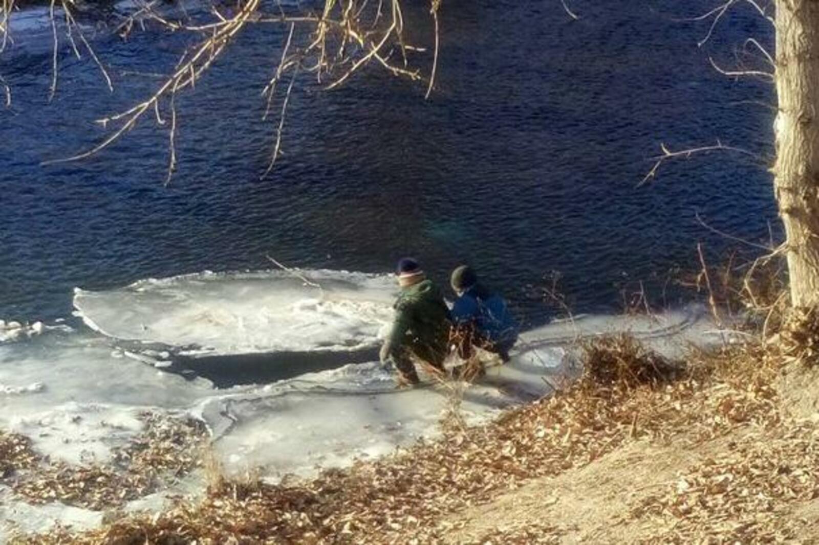 соцсети