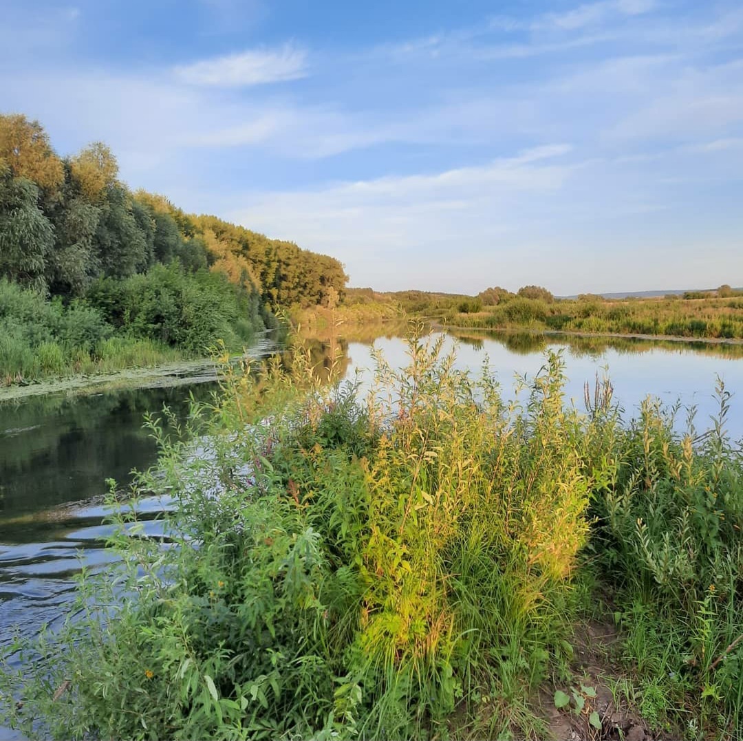Более 150 км русел рек планируют расчистить в 2022 году по нацпроекту "Экология"