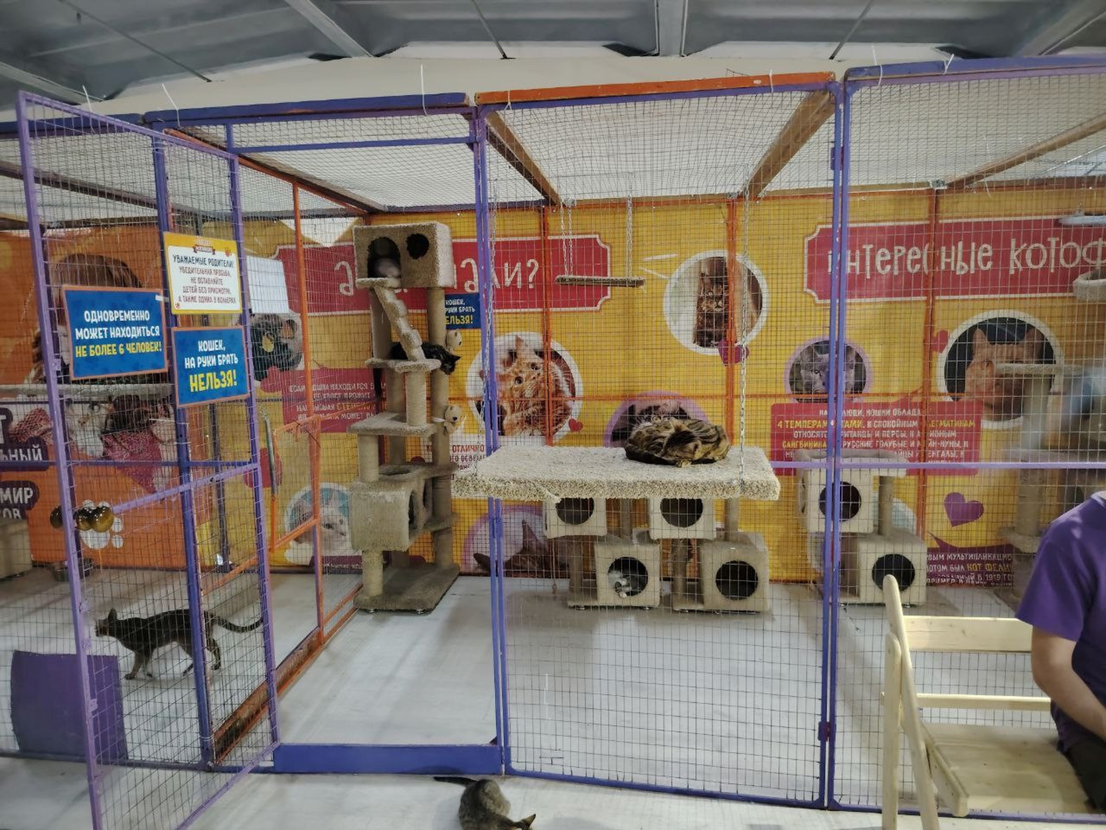 пресс-служба управления Россельхознадзора по РБ