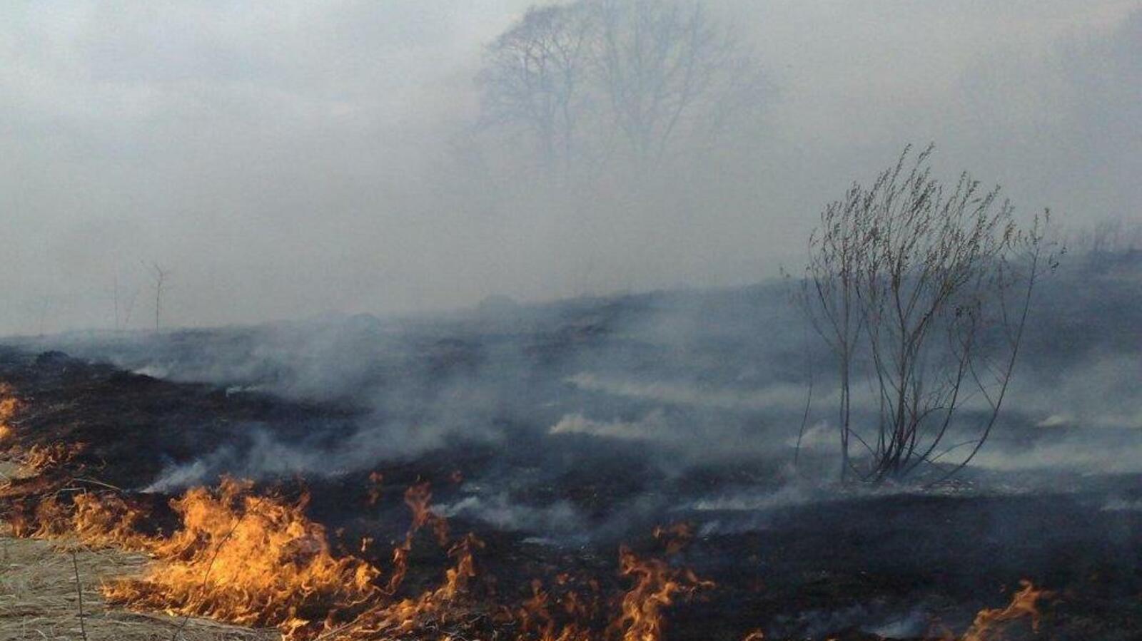 ИА «Башинформ»