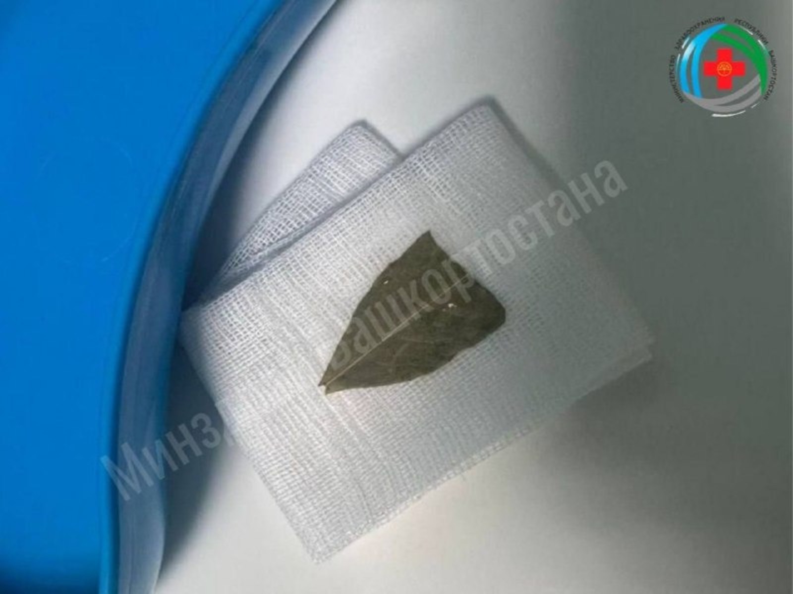 Айрат Рахматуллин ТГ-канал