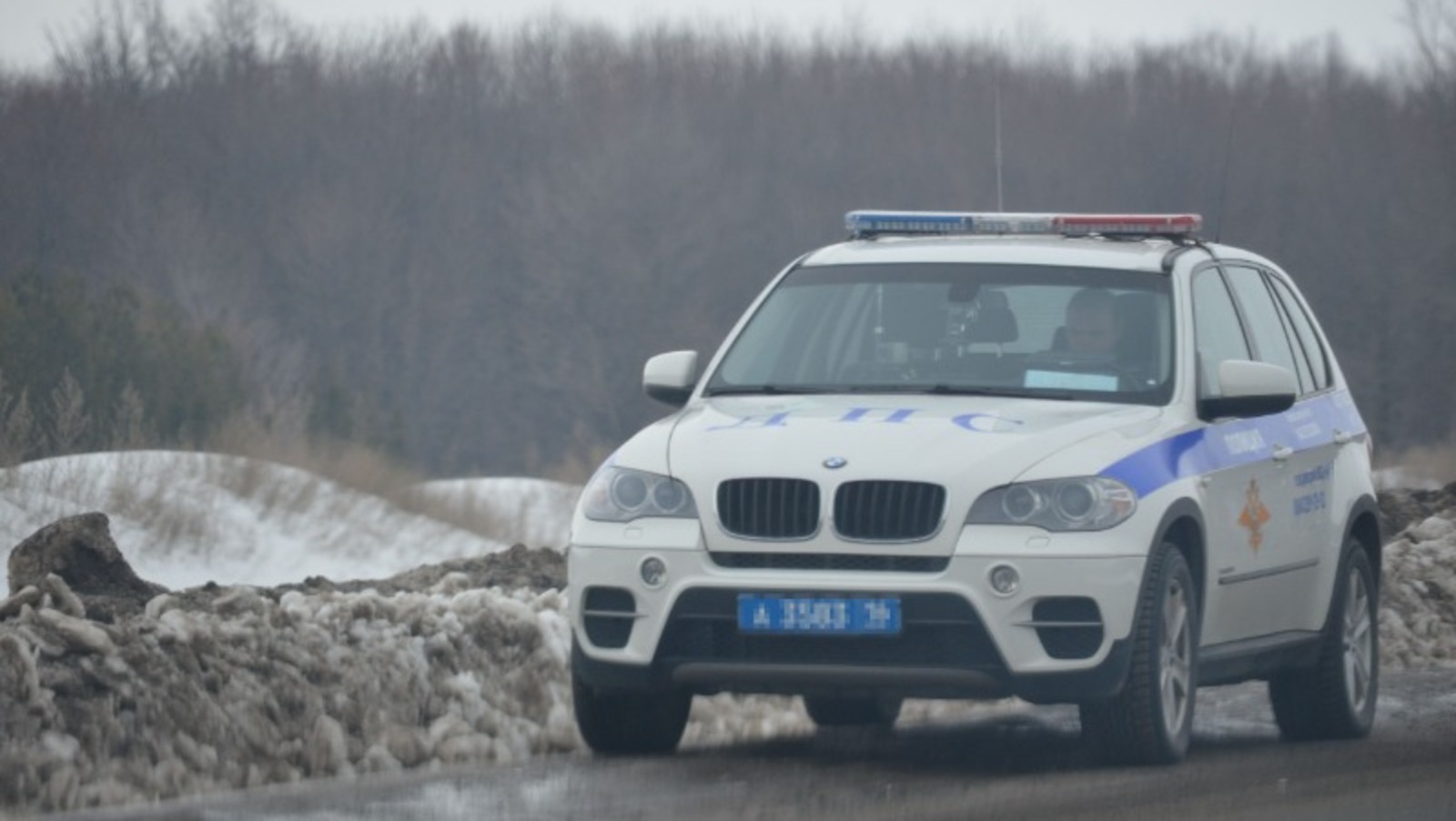 Ксения Калинина